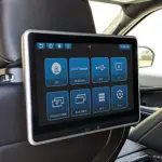 Rear Entertainment Systems