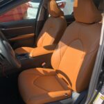 orange seats